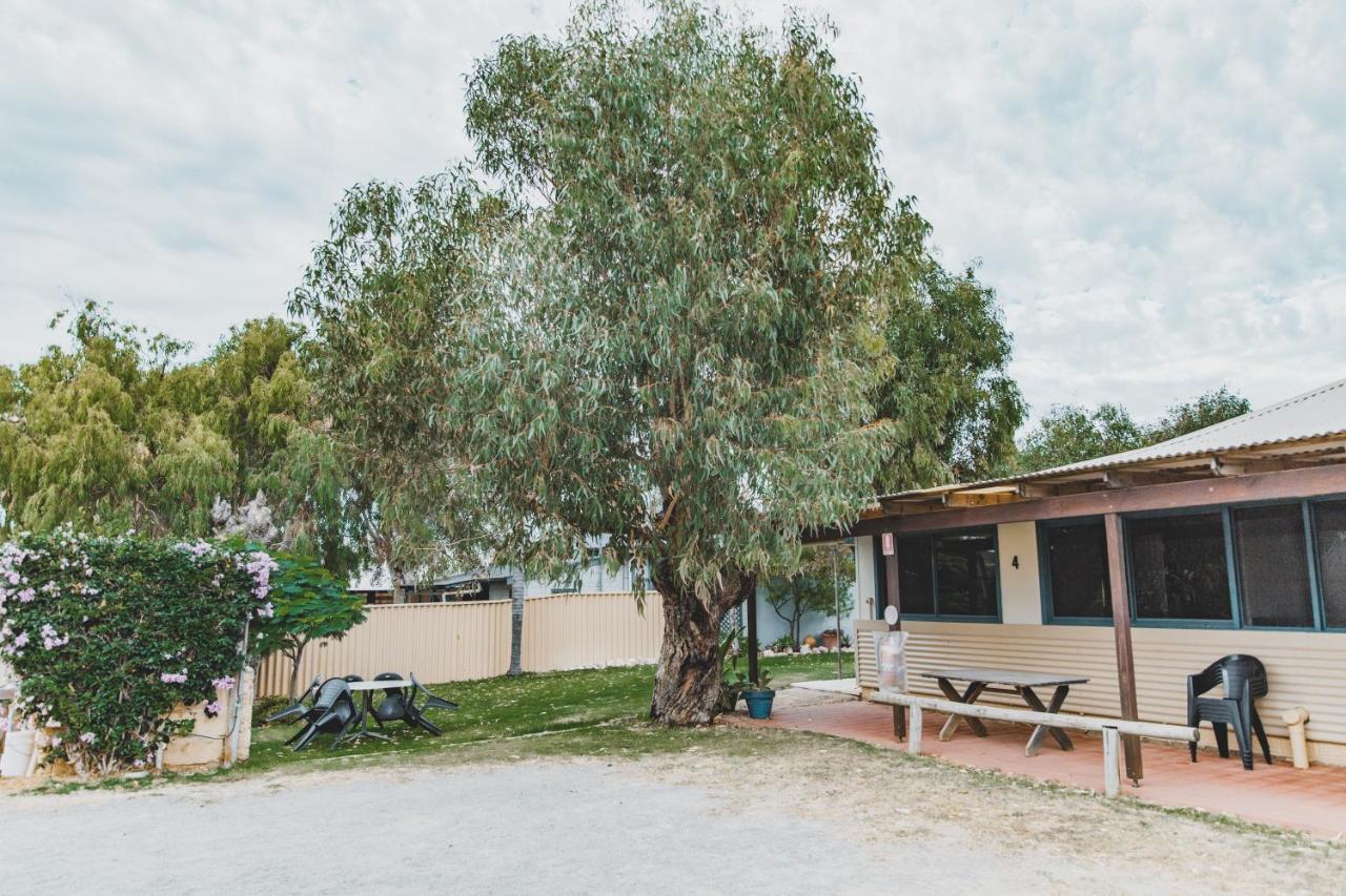 Dongara Hotel Motel Dış mekan fotoğraf
